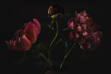 Load image into Gallery viewer, never rushed