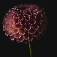 Load image into Gallery viewer, forever yours