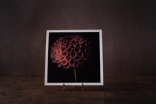 Load image into Gallery viewer, forever yours