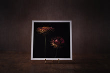 Load image into Gallery viewer, everlasting