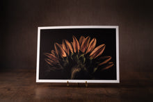 Load image into Gallery viewer, finding beauty