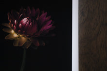 Load image into Gallery viewer, everlasting