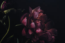 Load image into Gallery viewer, never rushed