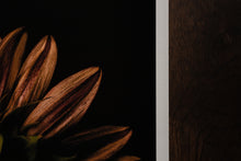 Load image into Gallery viewer, finding beauty